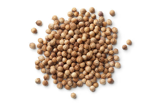 تصویر 3 از قیمت تخم گشنیز خوش طعم + خرید باور نکردنی